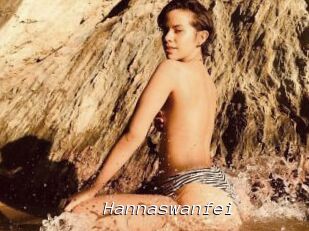Hannaswanfei