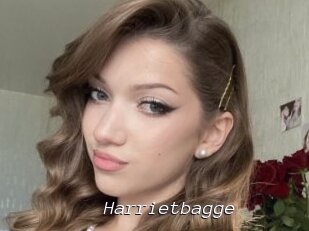 Harrietbagge