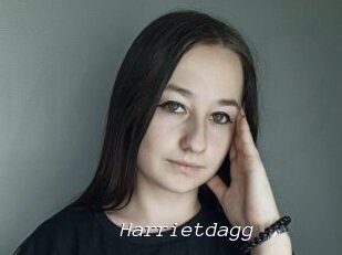 Harrietdagg