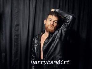 Harrybsmdirt
