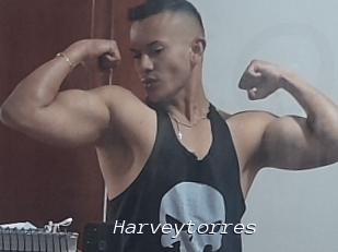 Harveytorres