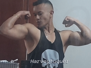 Harveytuquer
