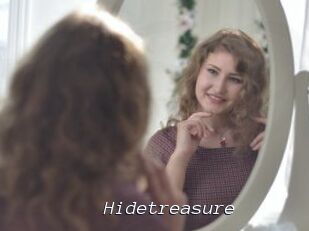 Hidetreasure