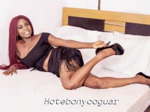 Hotebonycoguar