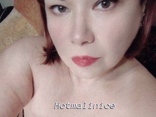 Hotmalinice
