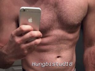 Hungbistud18