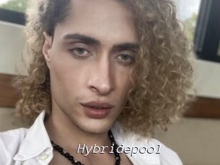 Hybridepool
