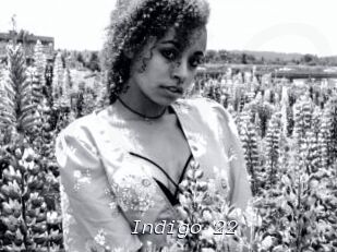 Indigo_22