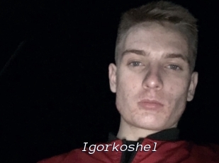 Igorkoshel