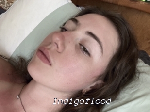Indigoflood