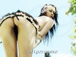 Indigorosexo