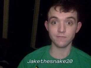 Jakethesnake20