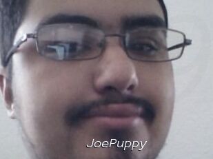 JoePuppy