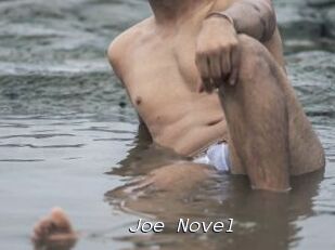 Joe_Novel
