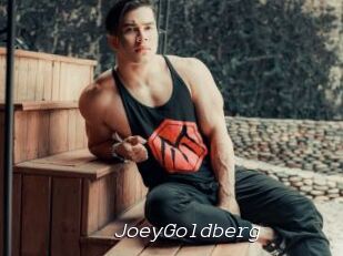 JoeyGoldberg