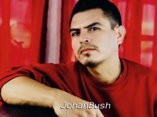 JohanBush