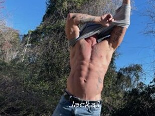Jackal