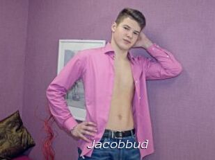 Jacobbud