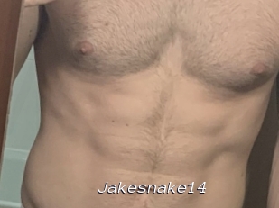 Jakesnake14