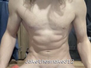 Jakethesnake312