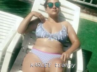 KARLEY_tranny