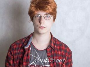 KevinTiger