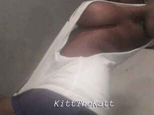 Kitt_The_Katt