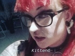 Kitten6