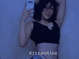 KittenAlex