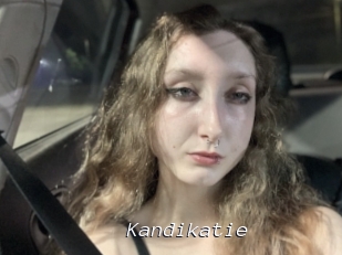 Kandikatie