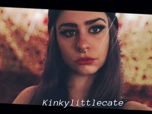 Kinkylittlecate