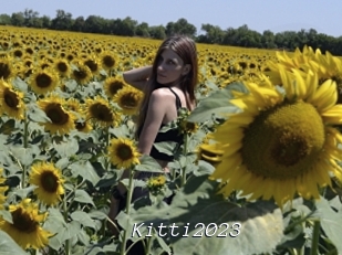 Kitti2023