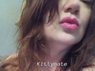 Kittymate