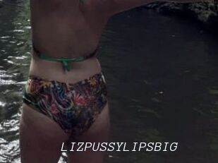 LIZPUSSYLIPSBIG