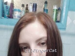 LilGingerCat