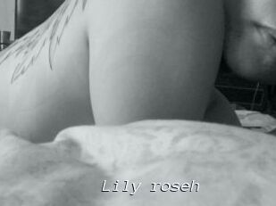 Lily_roseh