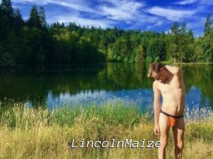 Lincoln_Maize