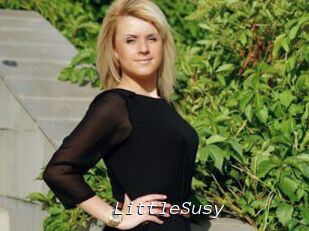 LittleSusy