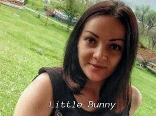 Little_Bunny_