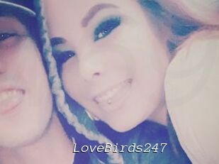 LoveBirds247