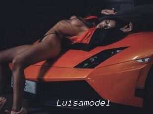 Luisamodel