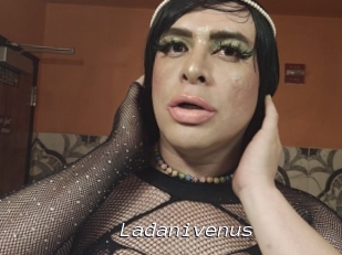 Ladanivenus