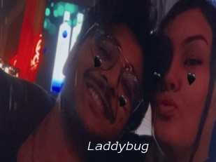 Laddybug