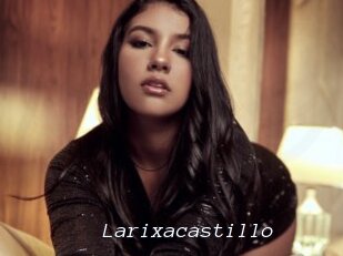 Larixacastillo