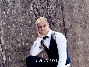 Laukinis