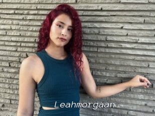 Leahmorgaan