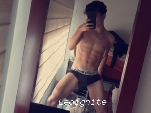 Leoignite