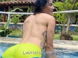 Leonardosantos