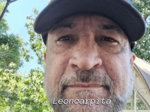 Leoncarpita