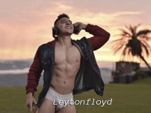 Leytonfloyd